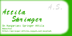 attila springer business card